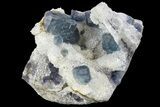 Multicolored Fluorite Crystals on Quartz - China #149748-1
